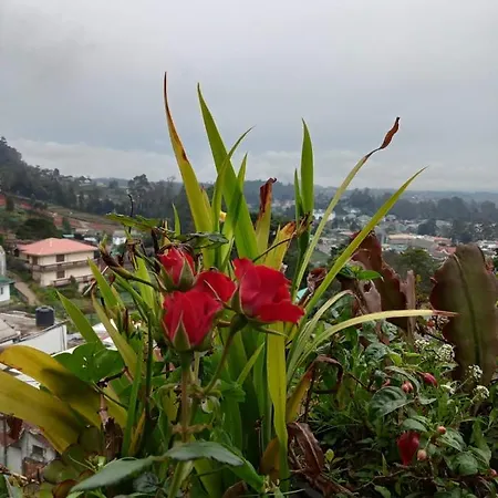 La Rose Geust House