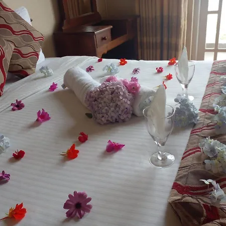 Hotel View & Nuwara Eliya
