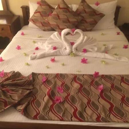 Hotel View & Nuwara Eliya