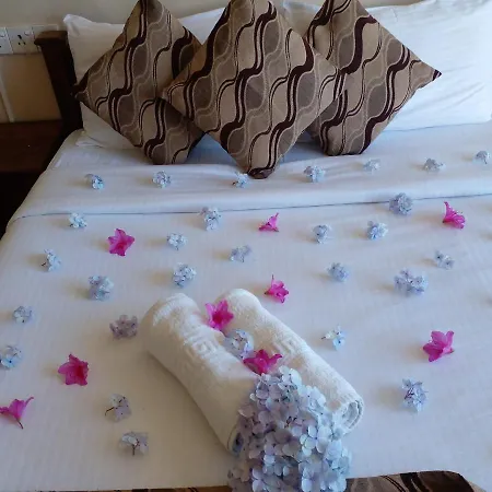 View & Hotel 3*