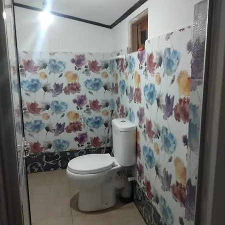 Anu Holiday Guest house *