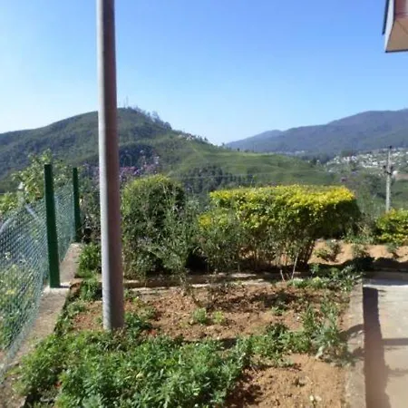 Mount View Chalet *