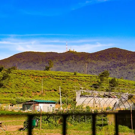 Guest house Del's Haven Nuwara Eliya