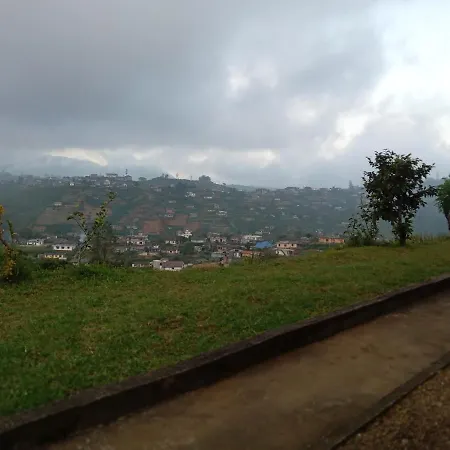 Mount View *