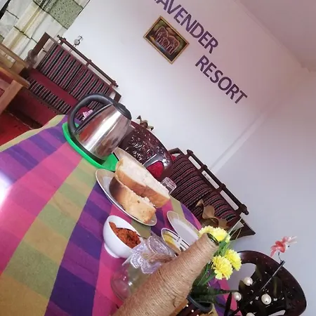 Hotel Lavender