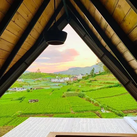 Dream Guest house 3*
