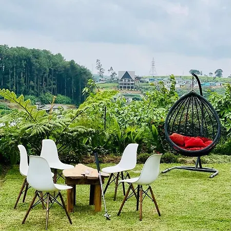 Guest house Dream