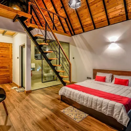 Guest house Dream