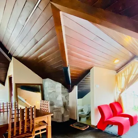 Hill Paradise Guest house