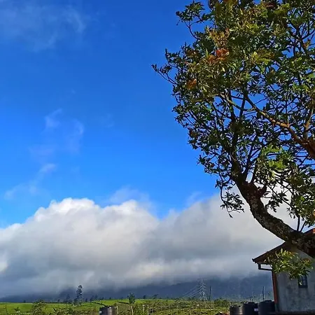 Mount Elegance Holiday home Nuwara Eliya