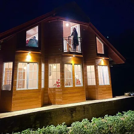 Guest house Misty Wood *