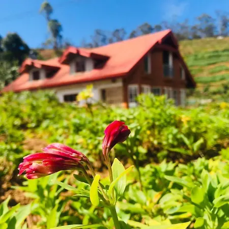 Misty Wood Guest house