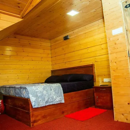 Misty Wood Guest house