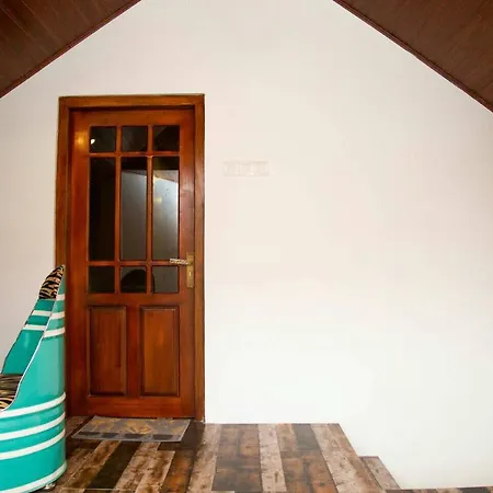 Guest house Misty Wood *