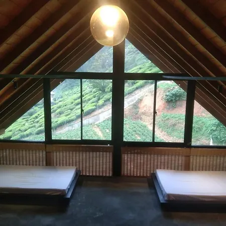 Hotel Manuka Hillwood