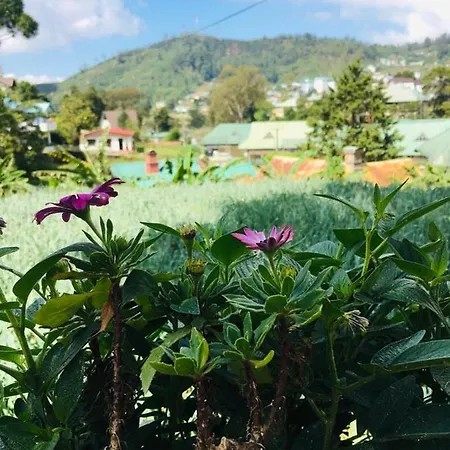 Green * Nuwara Eliya