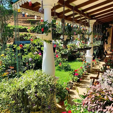 Pta Bungalow Guest house