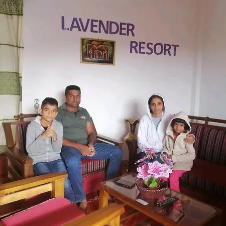 Lavender Hotel