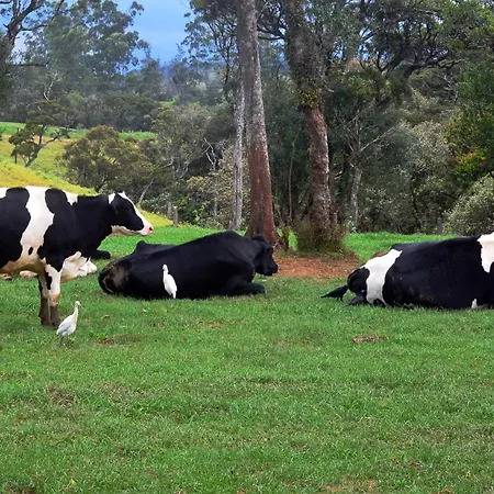 Hotel Windshire Nuwara Eliya