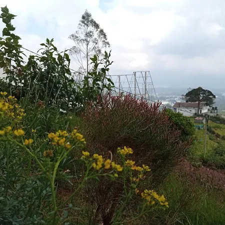 Mountline Guest house *