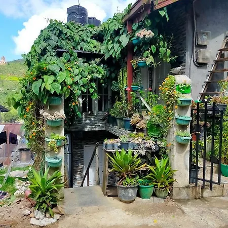 Homestay Sri *