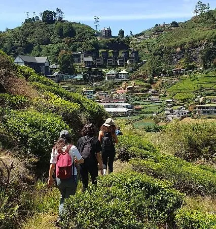 Sincere Wilderness 3*