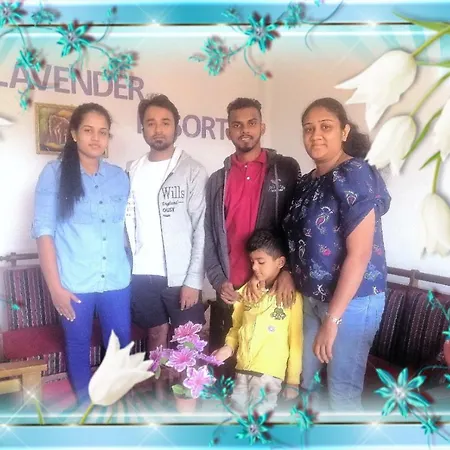 Hotel Lavender