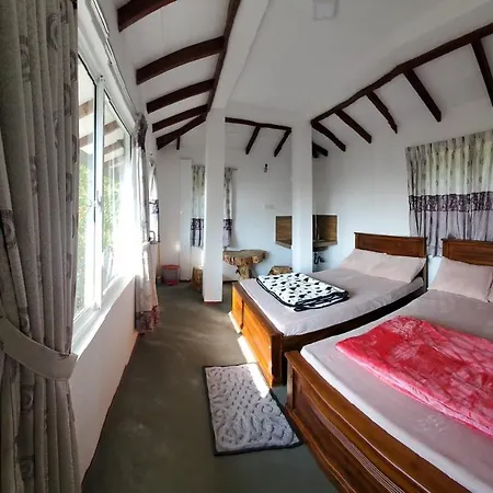 Guest house Acme Divine View