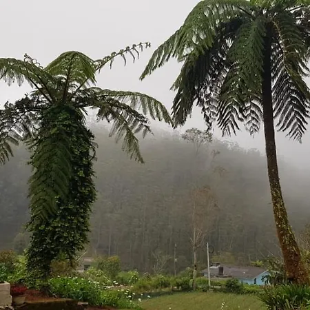 Acme Divine View Guest house Nuwara Eliya