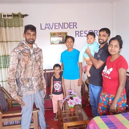 Lavender * Nuwara Eliya