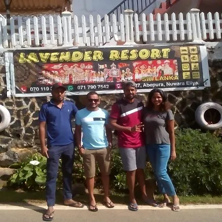 Lavender Hotel *