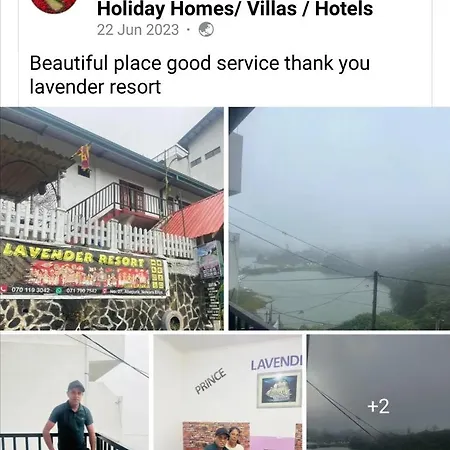 Lavender Nuwara Eliya