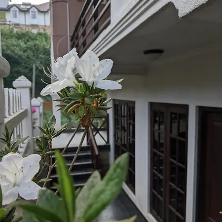 London House Bed & Breakfast Nuwara Eliya