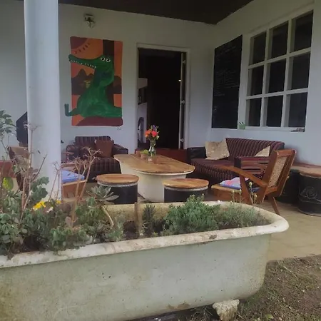 Chilly Croc Hostel