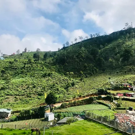 Queensland * Nuwara Eliya