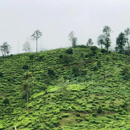 Queensland * Nuwara Eliya