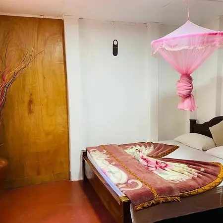 Greenland Wooden Homestay *