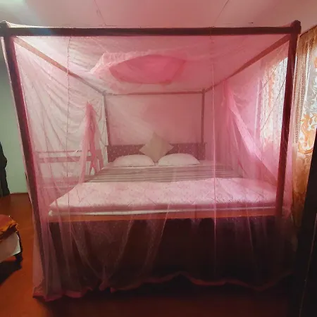 Greenland Wooden Homestay *