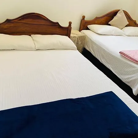 Greenland Wooden Homestay