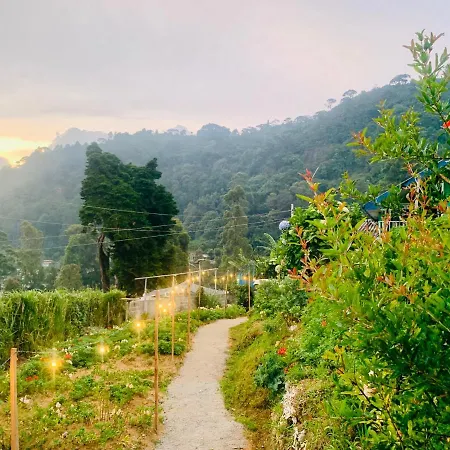 Heaven's Place *