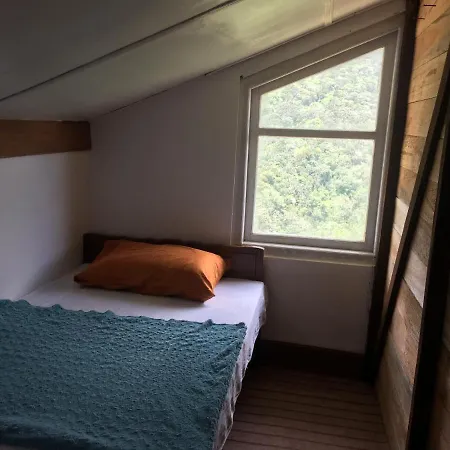Forest View Hotel