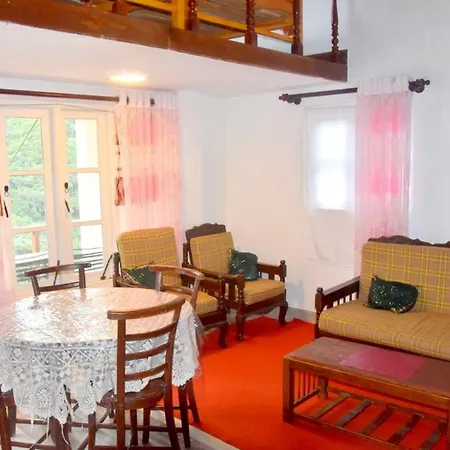 Forest View Hotel *