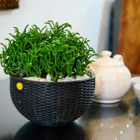 Kapri Luxury Apartment Nuwara Eliya