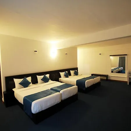 Single Tree Mount Hotel 4*