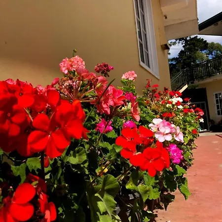 Guest house Shevyhaws 3*