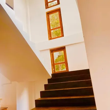 Euphoria White House Nuwaraeliya Hotel