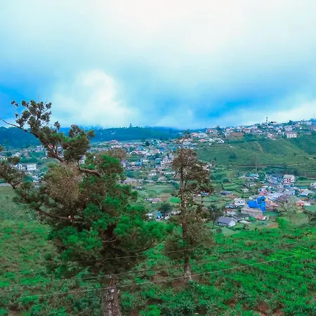 The Mount View Single Tree Hotel