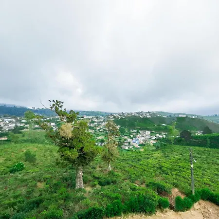 The Mount View Single Tree Hotel