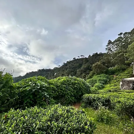 Holiday home Bungalow In Hawa Eliya Mountains *