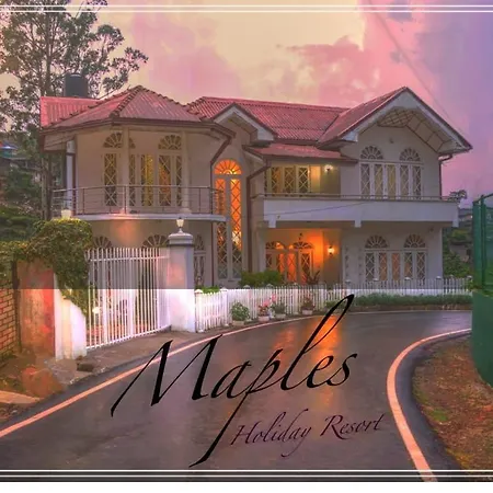 Maples Bed & Breakfast